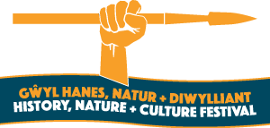 Gŵyl Dafydd ap Siencyn Festival Logo